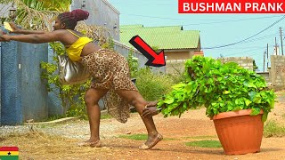 😂😂😂PRETTY GHANA GIRLS SCARED BY A MOVING FLOWER! Bushman Prank.