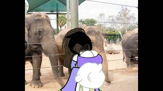 Vore Girl At A Zoo