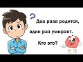 20 Загадок н с Подвохом, Чтобы Размять Мозги  Загадки на логику