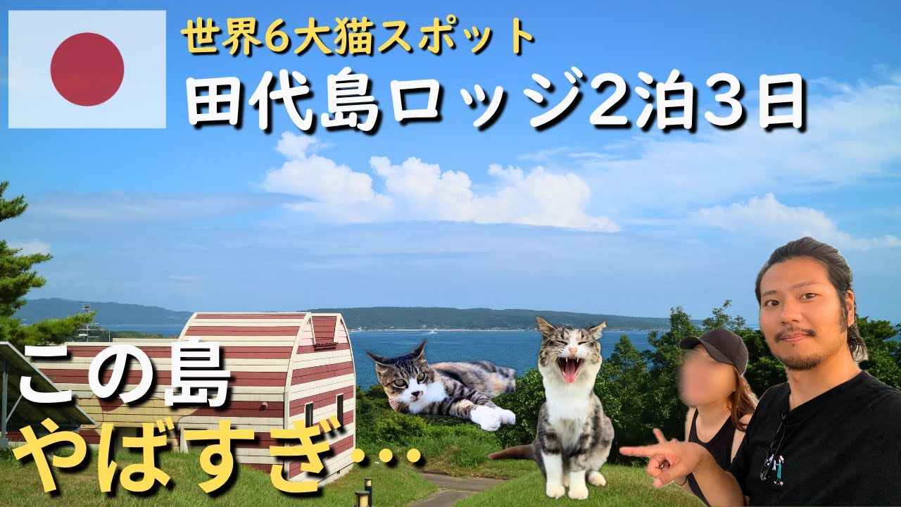Остров кошек Тасиро︱Останавливался в одном из 6 крупнейших в мире мест для кошек в течение 3 дней.