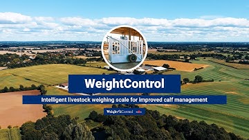 WeightControl - smart calf weighing scales with supporting management software