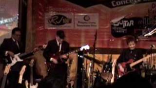 Video thumbnail of "Lime House Blues Live 2009 - Electromaniacs"
