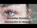 Heredity NOTES Explained