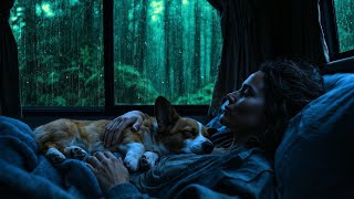 Rain on Car Windows 🌧️ Soft Thunder ASMR for Insomnia Relief screenshot 4