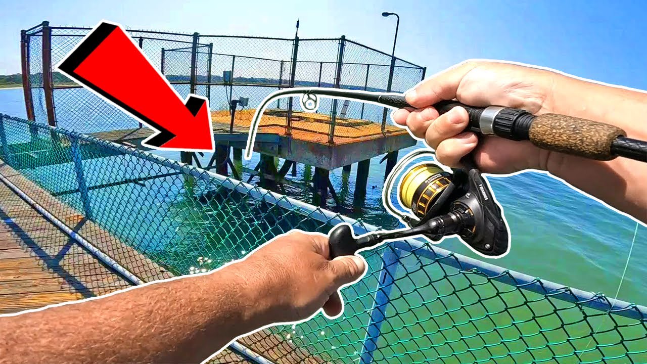 Pier Fishing in Delaware - NEW SPECIES !!! 