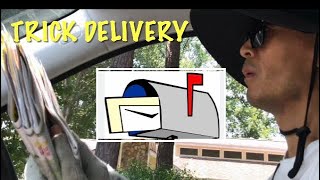 The Trick to Pull Down &Delivery Red Plum in a Fast Way! #usps #mail#truck #red#plum#delivery