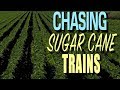 Sugarcane Train Chase Winter 2018