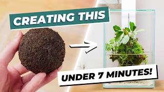 This Floating Wabi-Kusa Ball Looks Like Magic – Here’s How to Make It!