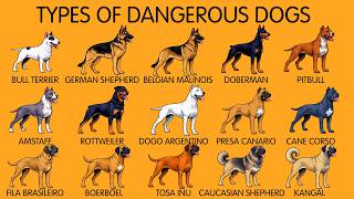 15 Most Dangerous Dog Breeds Ranked From Gladiator To Apex Guardian  8k Documentar