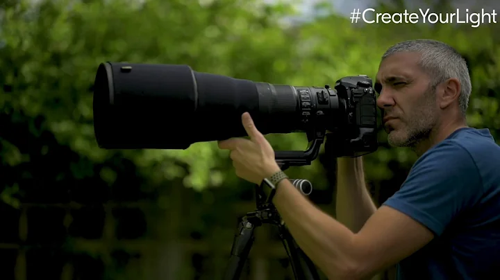 Create Your Light Theme 6: Wildlife photography at...