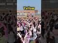 初めてでも踊れる曲Blue Pink Yellow🩵🩷💛