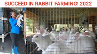 5 Reasons Why You Should Start Raising Rabbits NOW!/ Farm Updates!