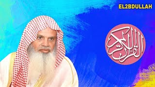 القرآن الكريم - علي الحذيفي (سورة الفاتحة والإخلاص والفلق والناس) مكررة بجودة عالية