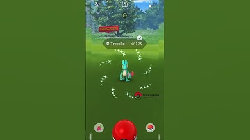 Finally I Got a ✨ Treecko in #pokemongo #shortvideo #shinypokemon #treecko