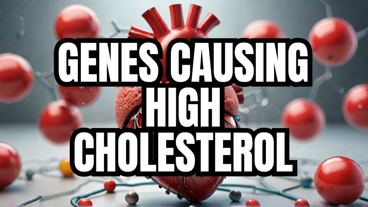 Familial Hypercholesterolemia High Cholesterol Levels YouTube familial-hypercholesterolemia-high-cholesterol-levels-youtube