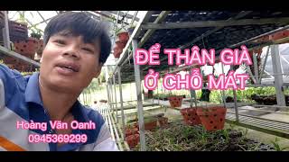 NHÂN KIE KÈN LAI CHÂU ĐƯỢC KHÔNG ?. HOÀNG VĂN OANH 094536929