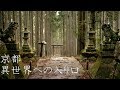 【異世界への入り口】京都の穴場スポット② : A secret spot in Kyoto（Kyoto, Japan）