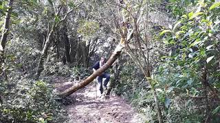 1070123 草湳上二格山(5)