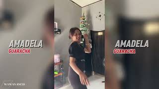 GUARACHA DJ_(AMADELA)_Mix BY_Wawan RMXR🍊