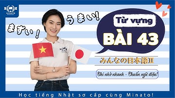 Từ vựng minna 2 - Bài 43 - Học Tiếng Nhật Minna no nihongo 2 | Học tiếng nhật cơ bản N4 miễn phí
