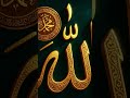 pata Hai Maine Allah Se poochha Teri madad kab milegi #vairal #unfrezzmyaccount #musalman #love