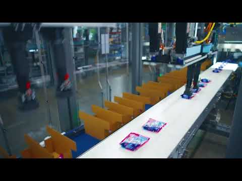 Candy Packaging Equipment | High Speed Pouch Case Packing | Delkor Systems