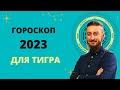 ГОРОСКОП ДЛЯ ТИГРА 2023 ГОД