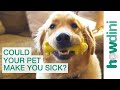 5 Ways Your Pet Could Be Making You Sick | Pet Care