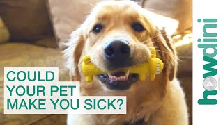 5 Ways Your Pet Could Be Making You Sick | Pet Care