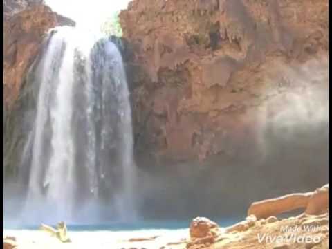 الدكتور صلاح الأمين الصبر