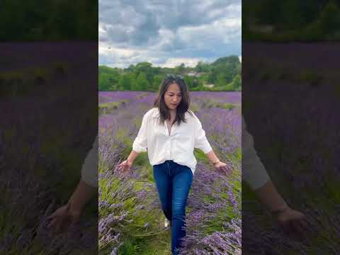 Much visit place #lavenderfields #london #summer #mayfield #lavender