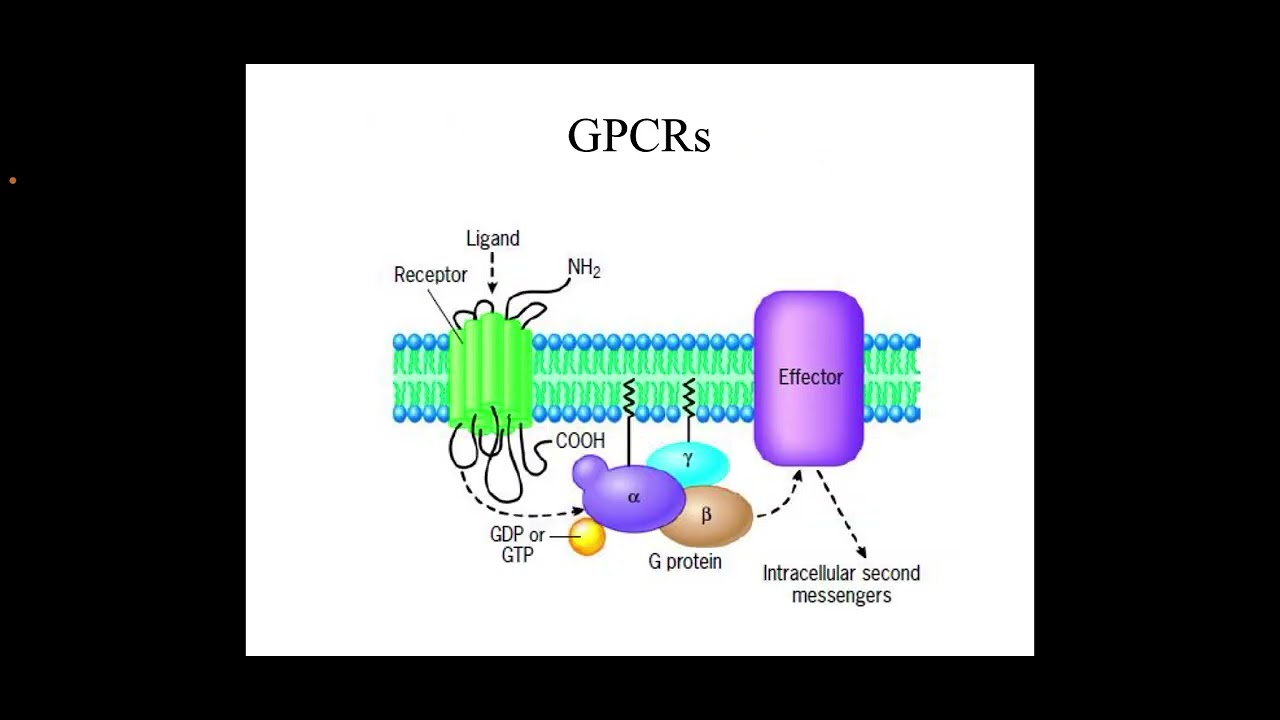 Signal Transduction in Cell