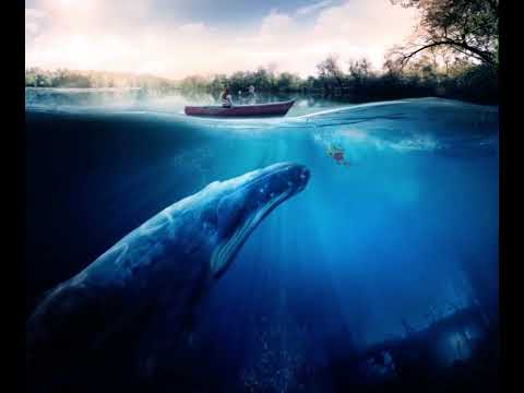 WHALE Crying Visual Art