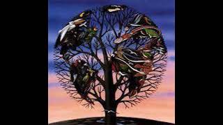 Talk Talk - Laughing Stock - YouTube