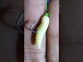 Easy Way to Install Bait to a Hook #shorts #short #fishing #tutorial