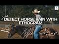 Detect Horse Pain With Ethogram
