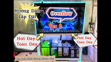 Hướng Dẫn Sử Dụng Setup Hồ Cá Lọc Tràn Dưới Không Cần Khoan Đáy - Sử Dụng Hệ Thống  Overflow Ver 2