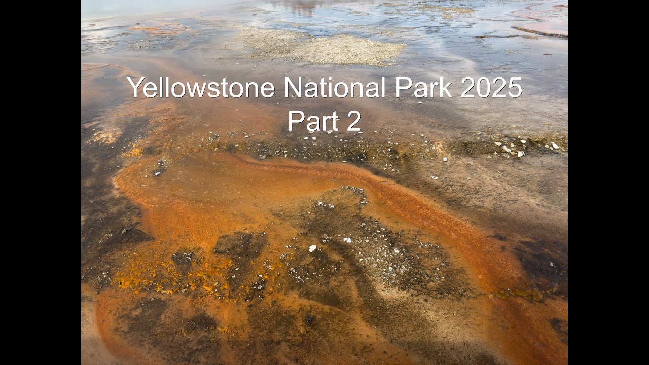Yellowstone National Park 2025 Part 2 - YouTube