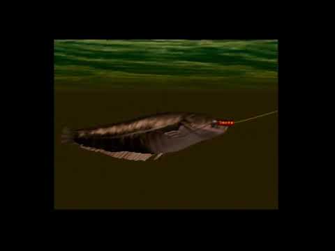 Nushi Tsuri 64 (ぬし 釣り 64) - Beating the game with 11 year old boy (N64)