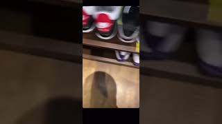 DJ Khaled Show&#39;s Off Some Of His Most Rarest Shoe!! Solefly 1&#39;s, OvO 8 Calipri Sample, Oregon 3&#39;s...