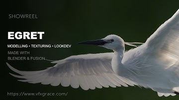Explore the Detailed Egret 3D Model | Blender Rigging & Animation Showcase by VFX Grace #blender3d