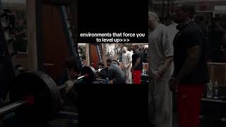 Will Tennyson In The Dog Park