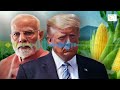 ભારત અમેરિકા પાસેથી મકાઈ કેમ આયાત નથી કરી રહ્યો? | Gujarati Podcast