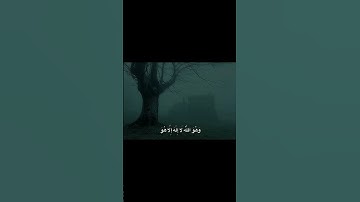 وَهُوَ اللَّهُ لَا إِلَـٰهَ إِلَّا هُوَ | محمد صديق المنشاوي | سورة القصص