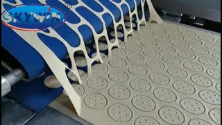 Skywin Manufacturing Hard Biscuit Production Line