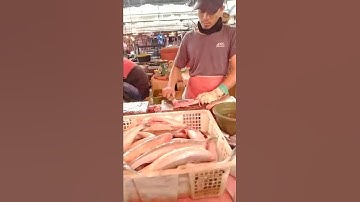 Thumbnail of Pemrosesan Daging Ikan Giling