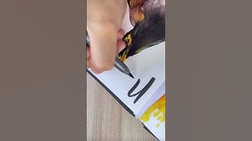 Art Journal, drawing birds | Coloring with Copic markers #shorts #birdtober #inktober2022