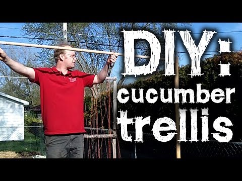 DIY