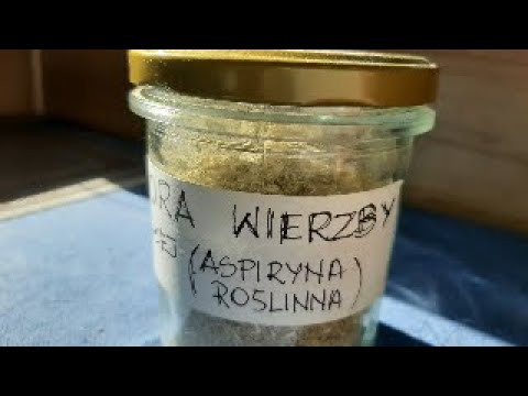 Wideo: Jakie zwierzęta jedzą wierzby?