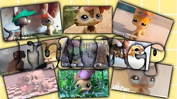 LPS: Backyard Boy (Full MEP)